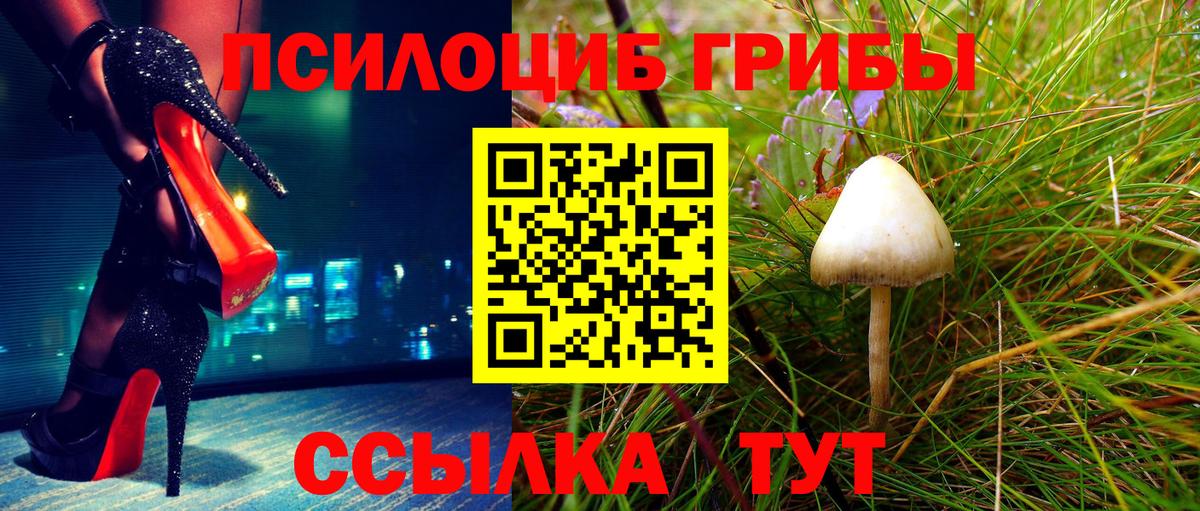 Галлюциногенные грибы мухоморы  даркнет сайт  Вход с VPN  Североуральск  Галлюциногенные грибы Psilocybine cubensis 